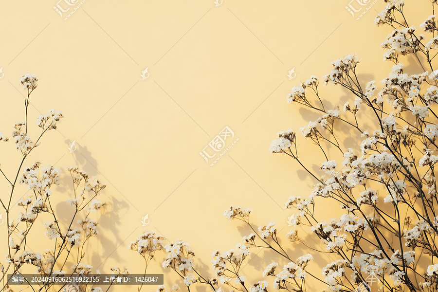 白色花朵黃色背景陰影