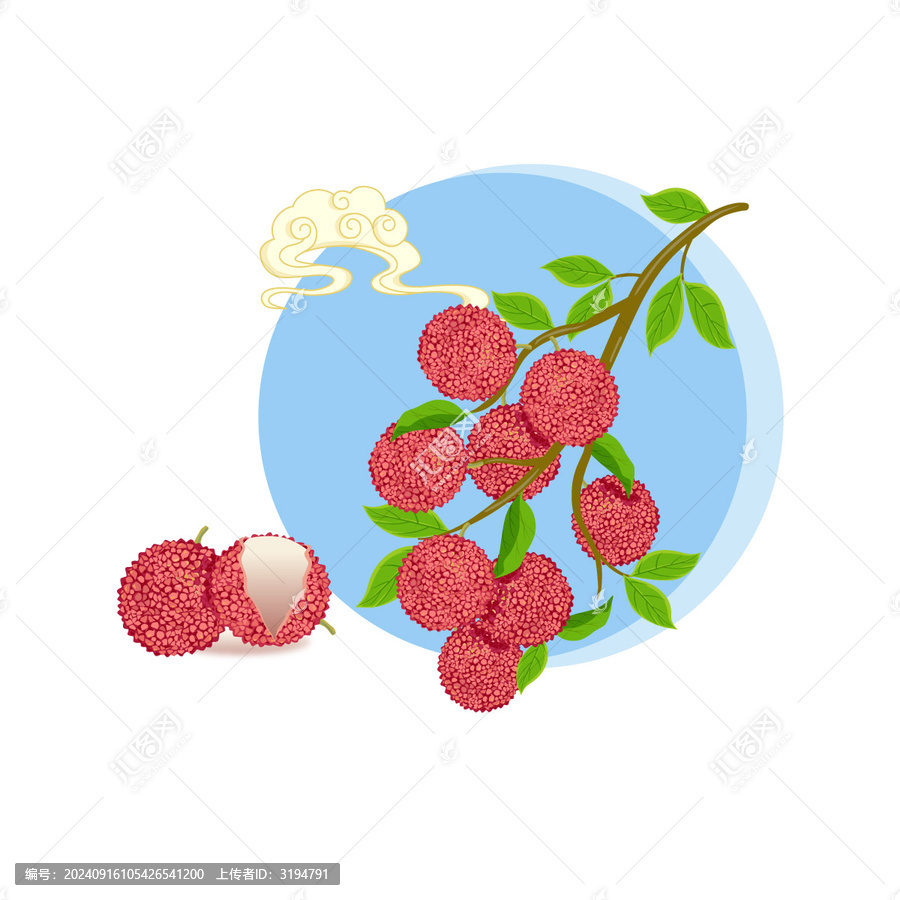 荔枝矢量插畫