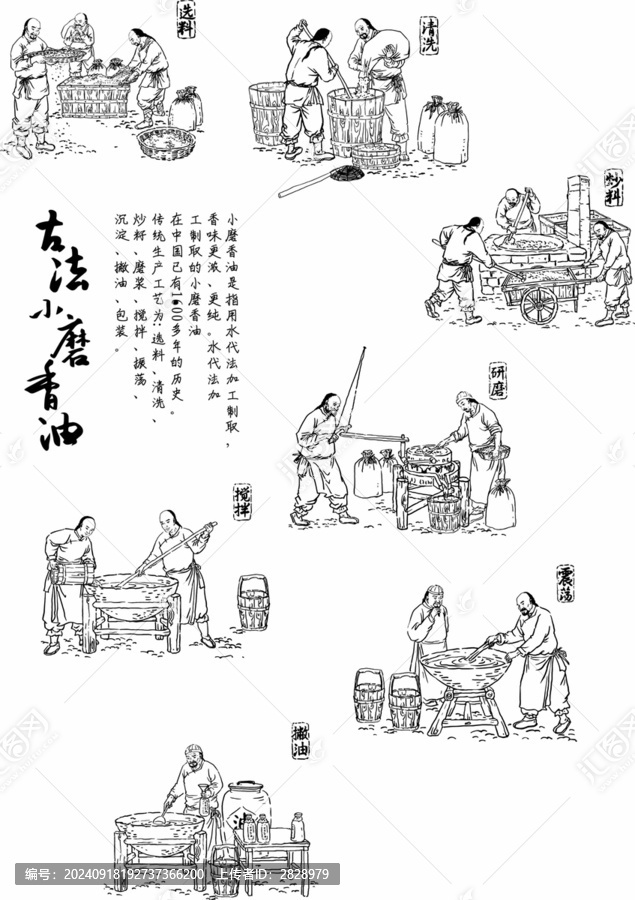 古法香油插畫