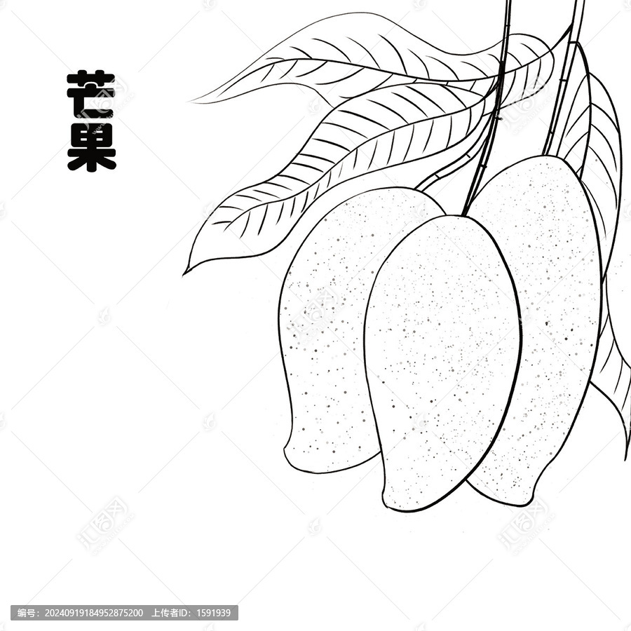手繪芒果線稿