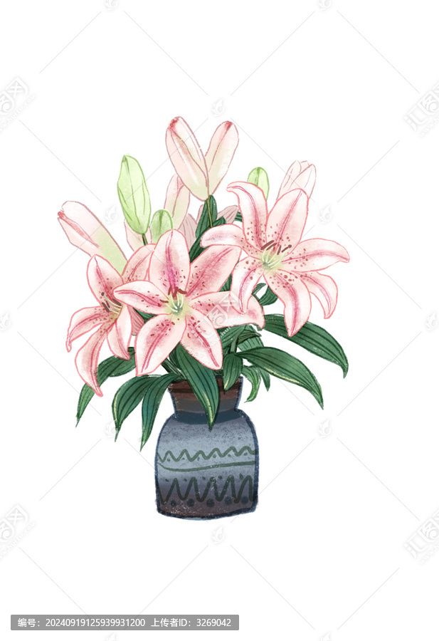 一束百合