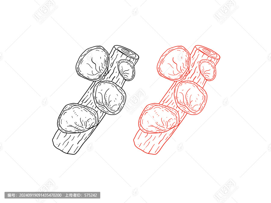 線描黑木耳