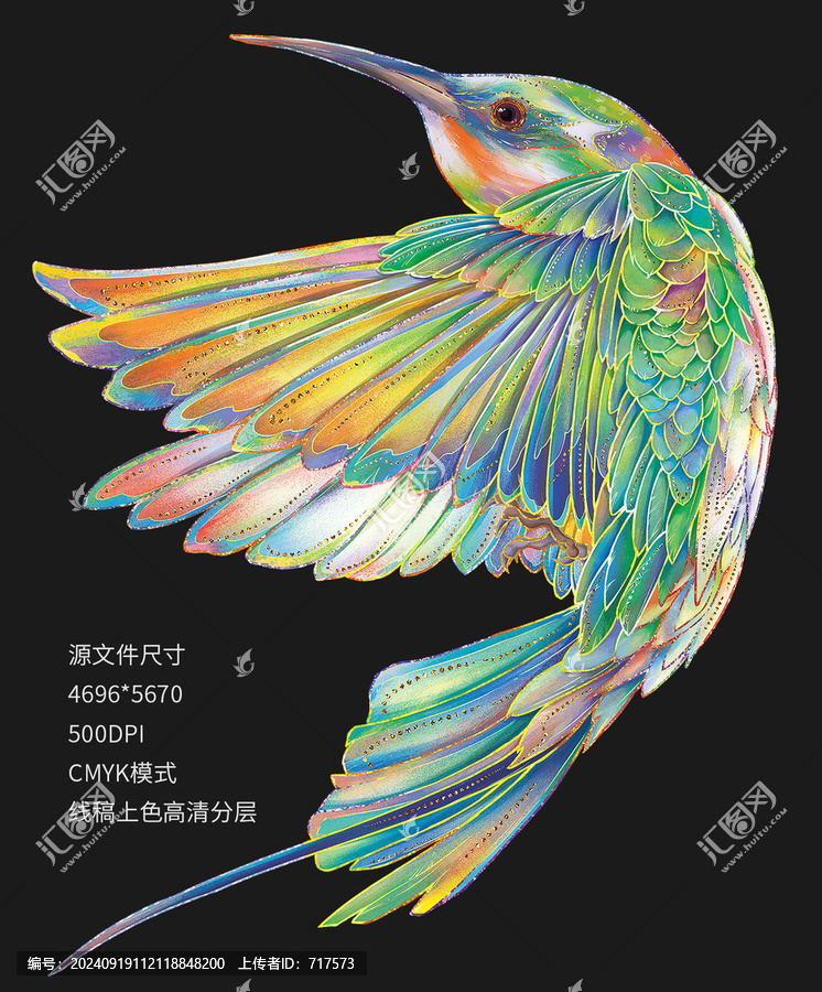國(guó)潮蜂鳥(niǎo)