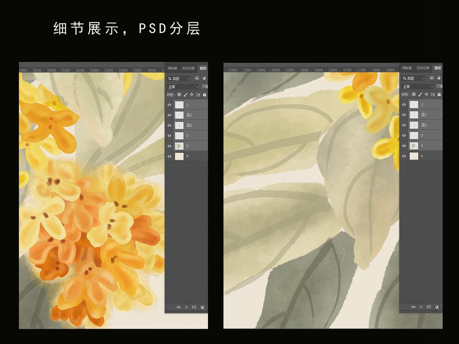 桂花水墨插畫
