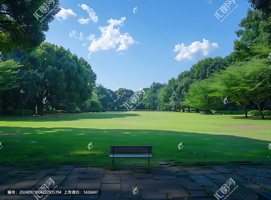 綠樹成蔭的公園長椅