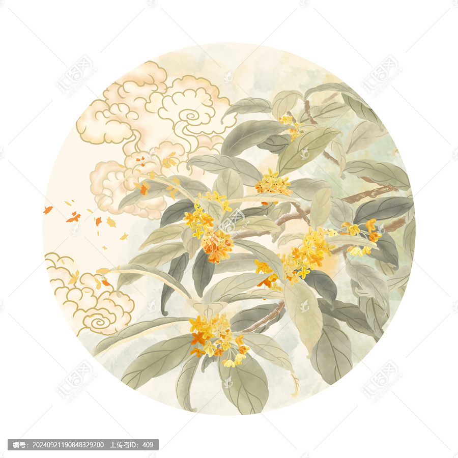 桂花祥云插畫
