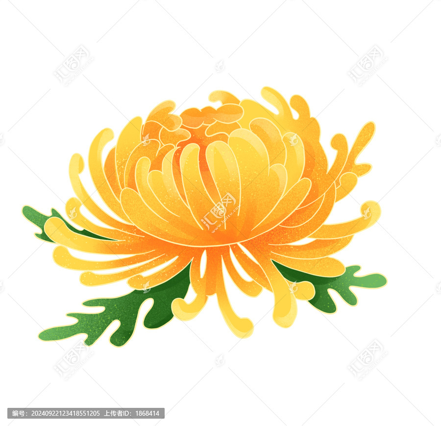 菊花國(guó)潮國(guó)風(fēng)水彩插畫(huà)