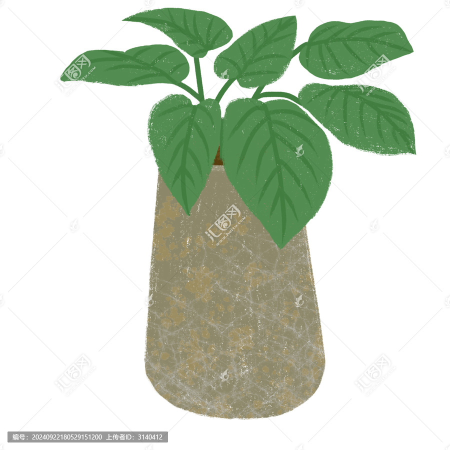 綠植鶴望蘭