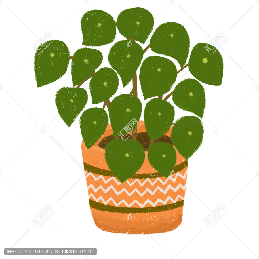 綠植鏡面草