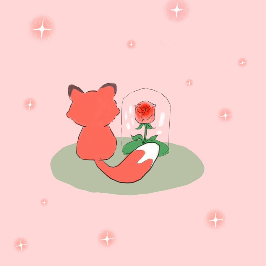 小狐貍和玫瑰花