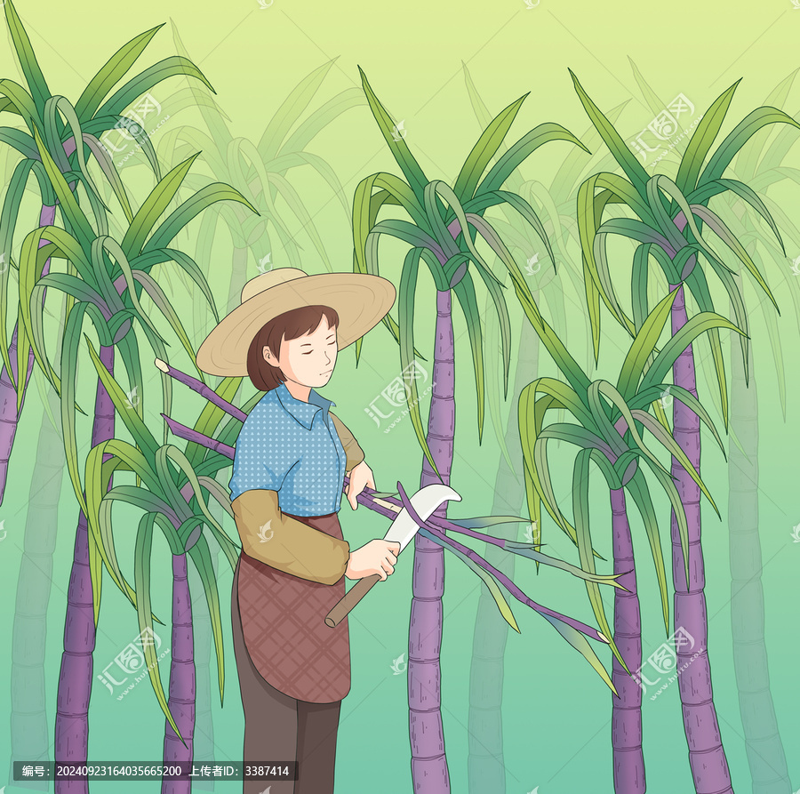國(guó)風(fēng)紅糖甘蔗手繪插畫