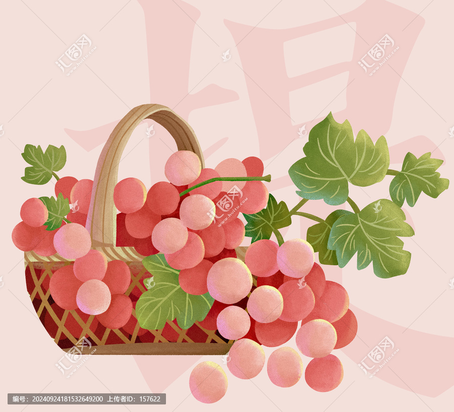 水果提子