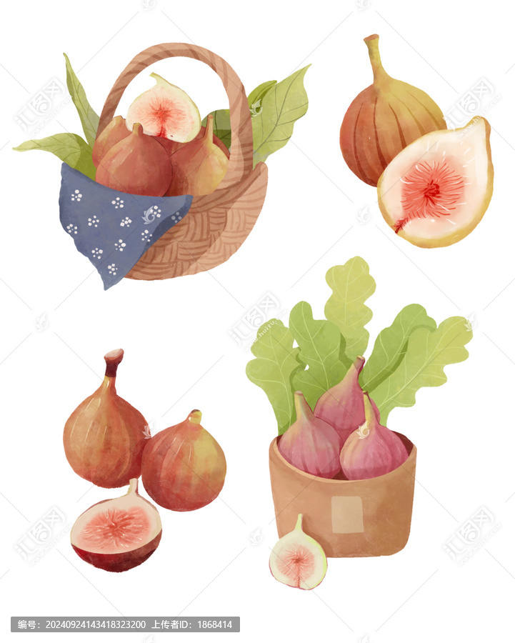 無花果國潮國風(fēng)水彩插畫