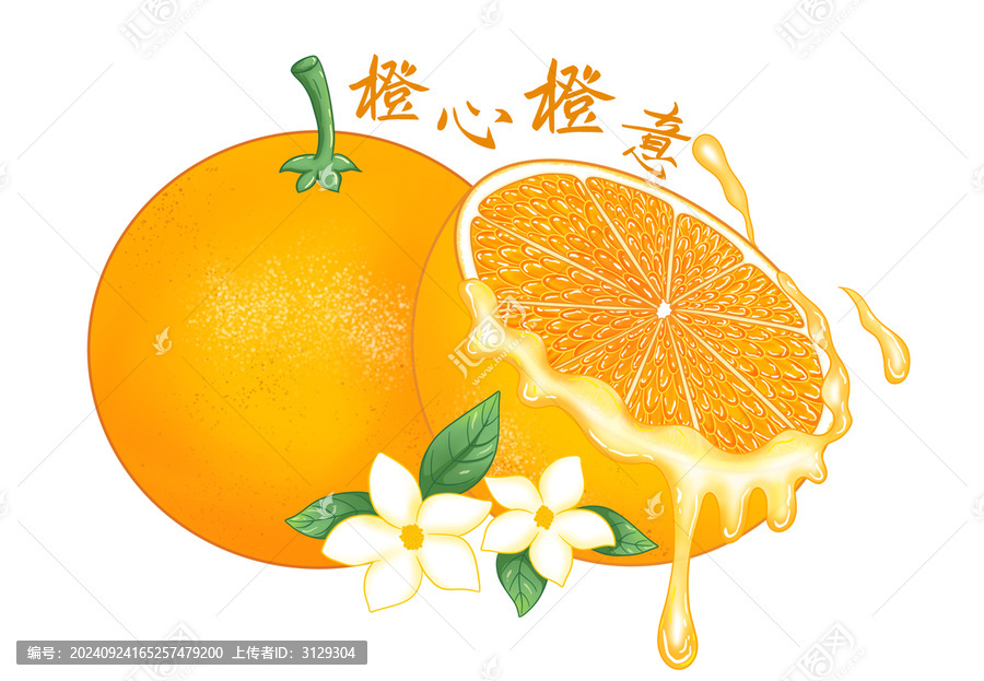 橙子插畫(huà)