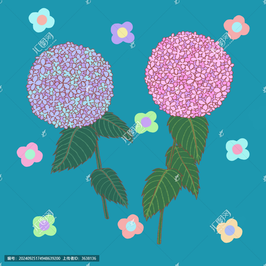 繡球花插畫