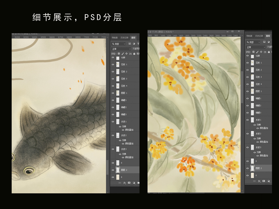 錦鯉桂花