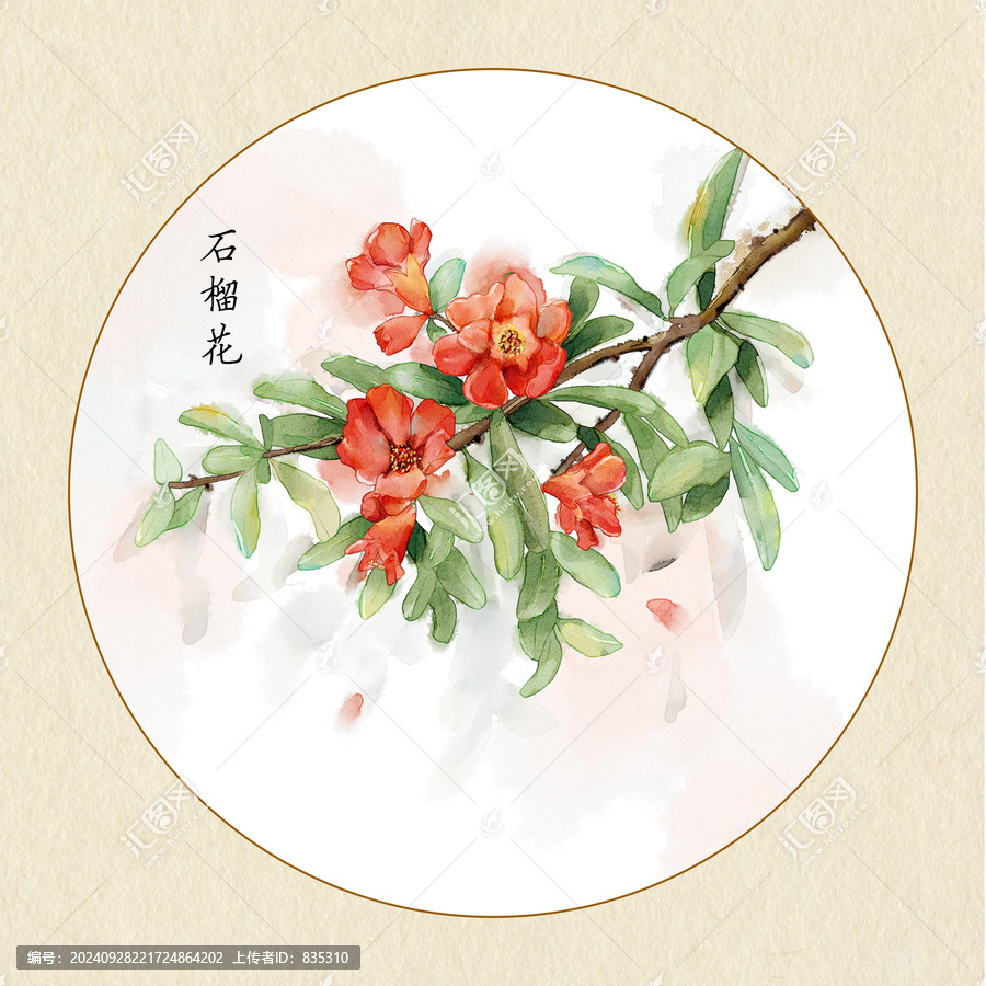 手繪水彩石榴花插畫