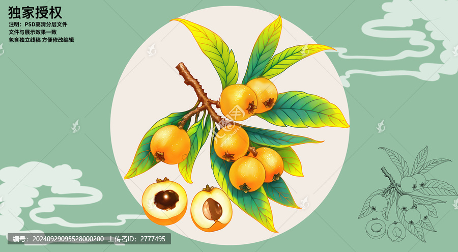枇杷