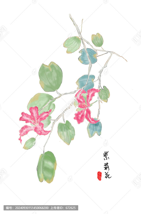 古風(fēng)紫荊花