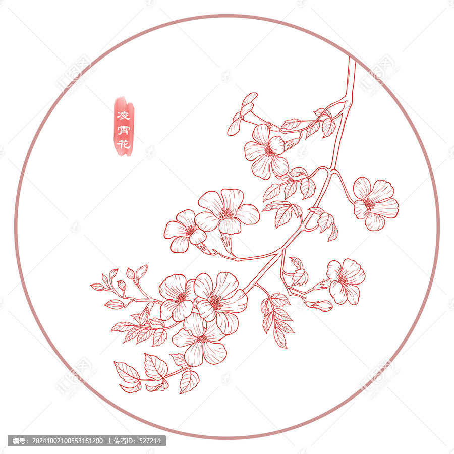 線描凌霄花