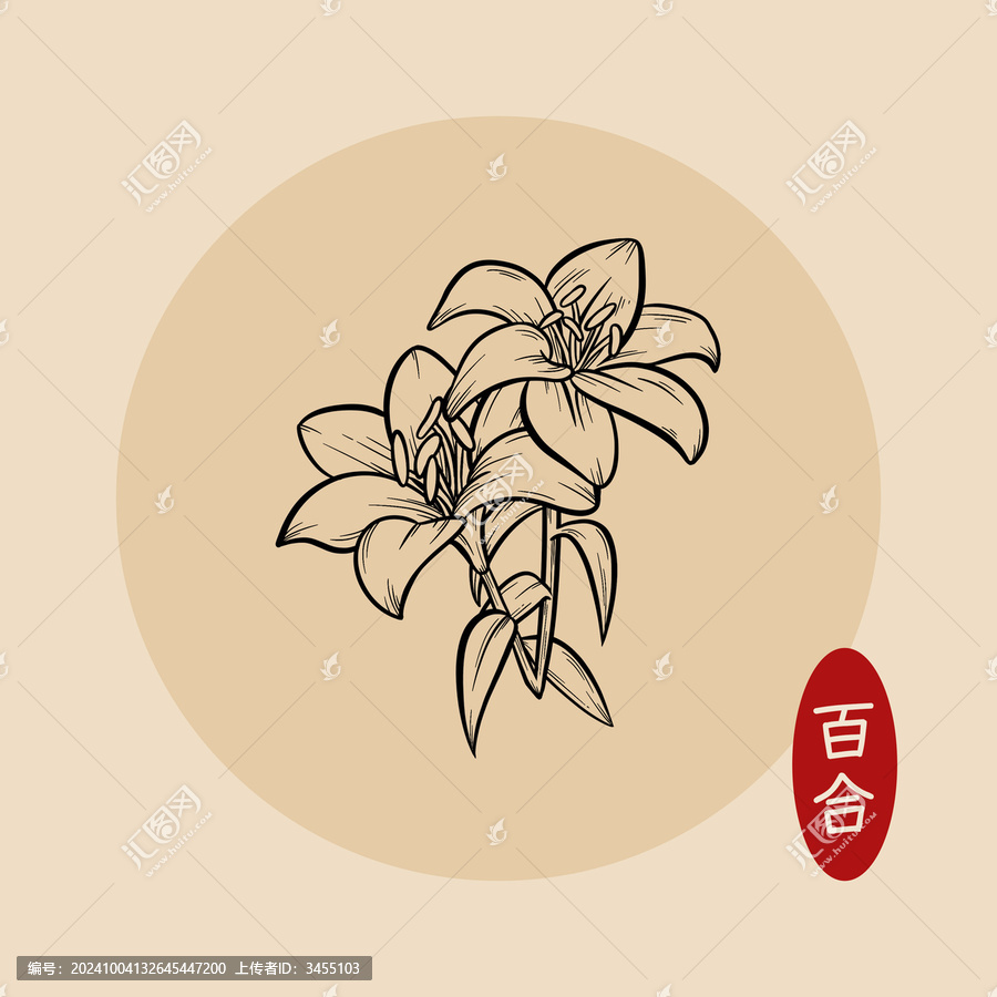 百合黑白線描