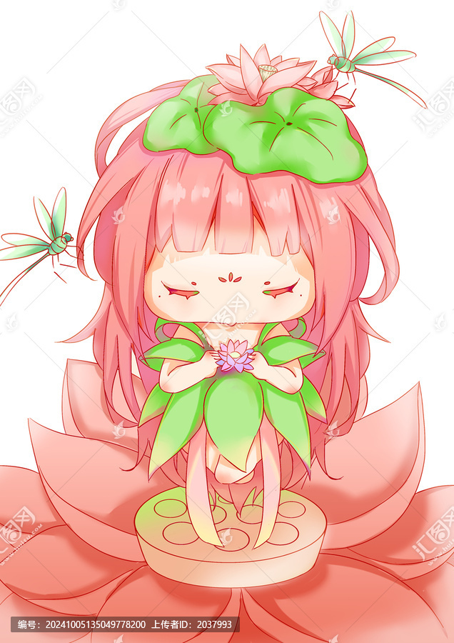 荷花少女