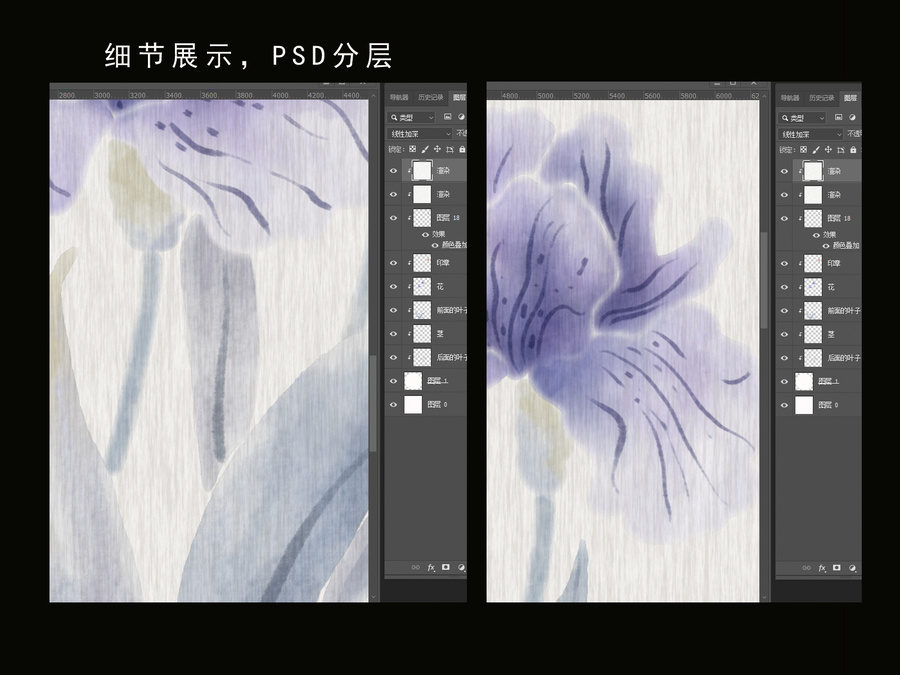 鳶尾花水墨插畫