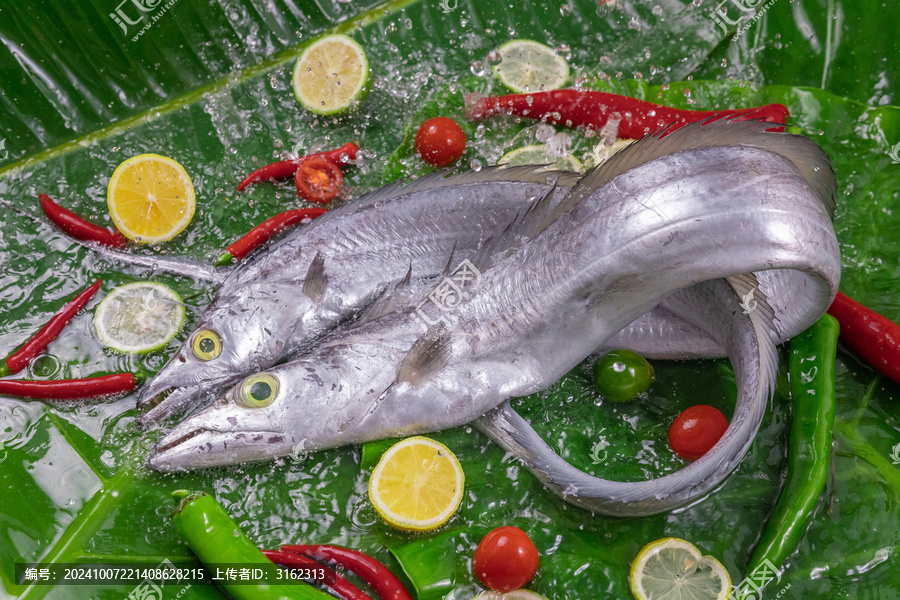 深海帶魚