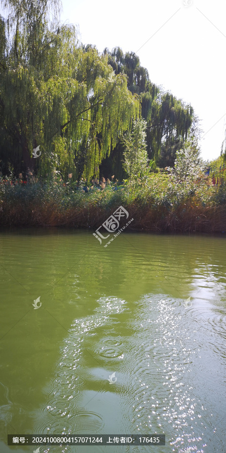 水上公園