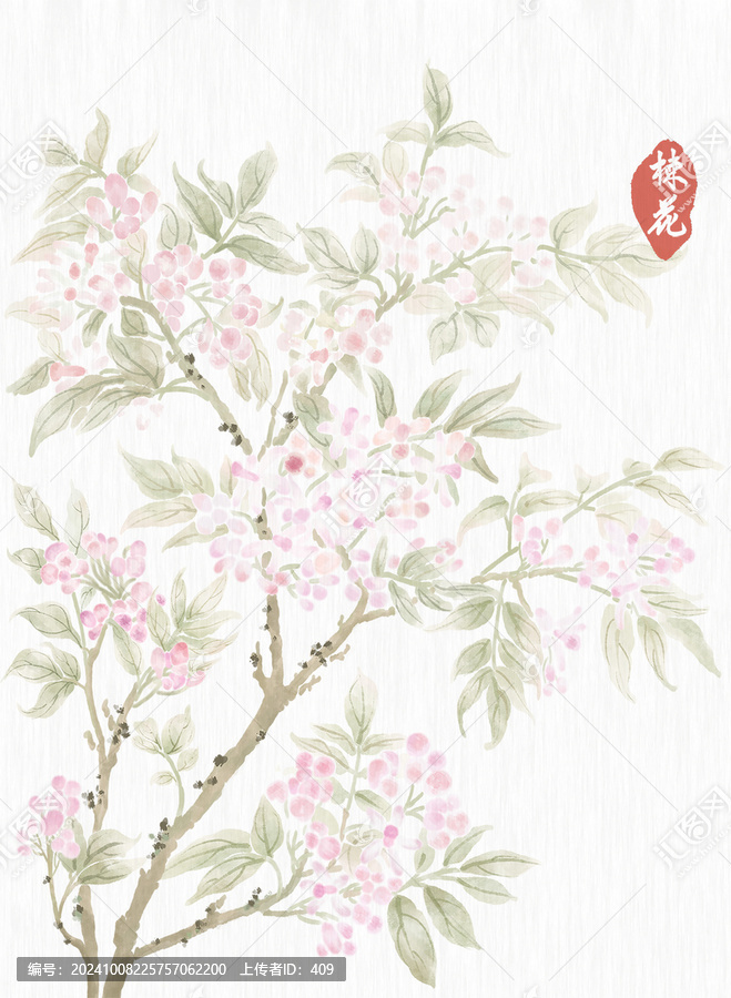 楝花古風(fēng)插畫