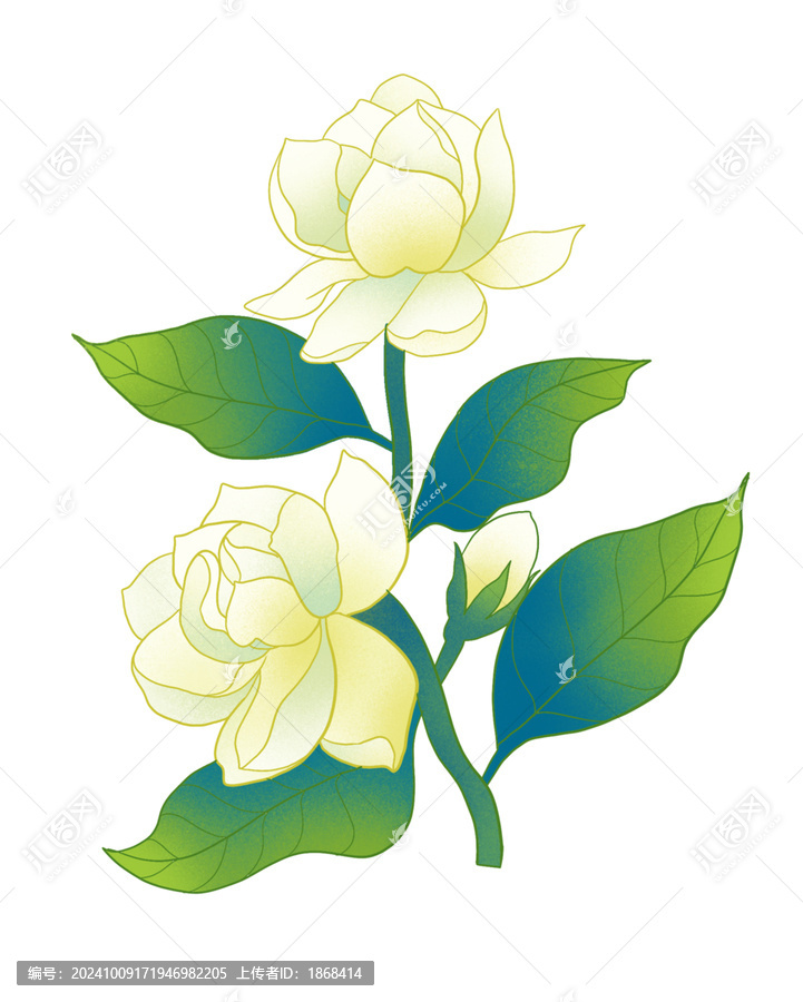 茉莉花朵國潮插畫
