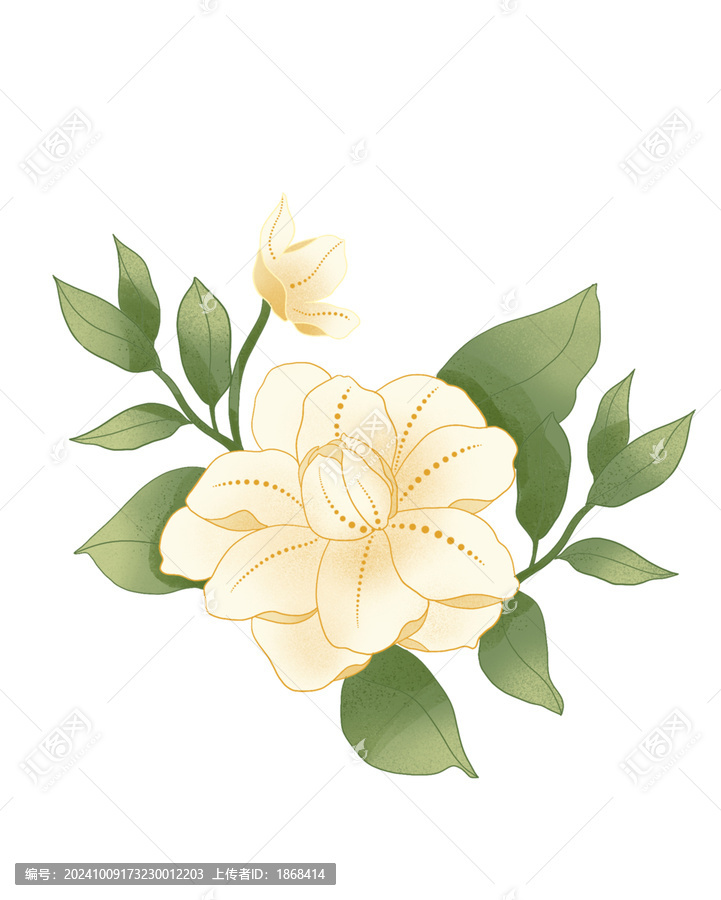 茉莉花朵國(guó)潮插畫(huà)