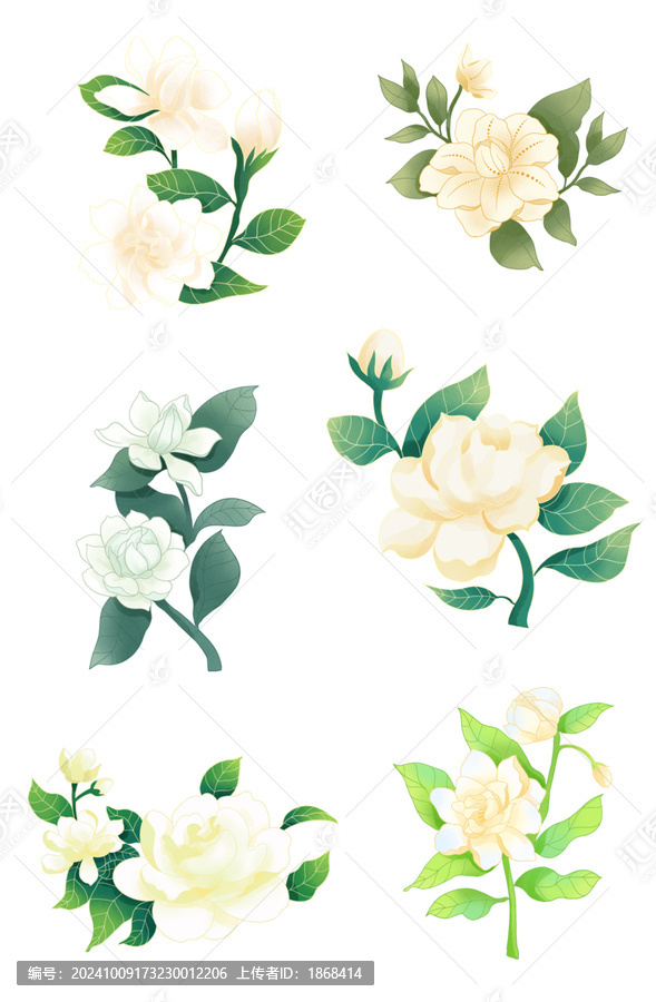 茉莉花朵國(guó)潮插畫(huà)