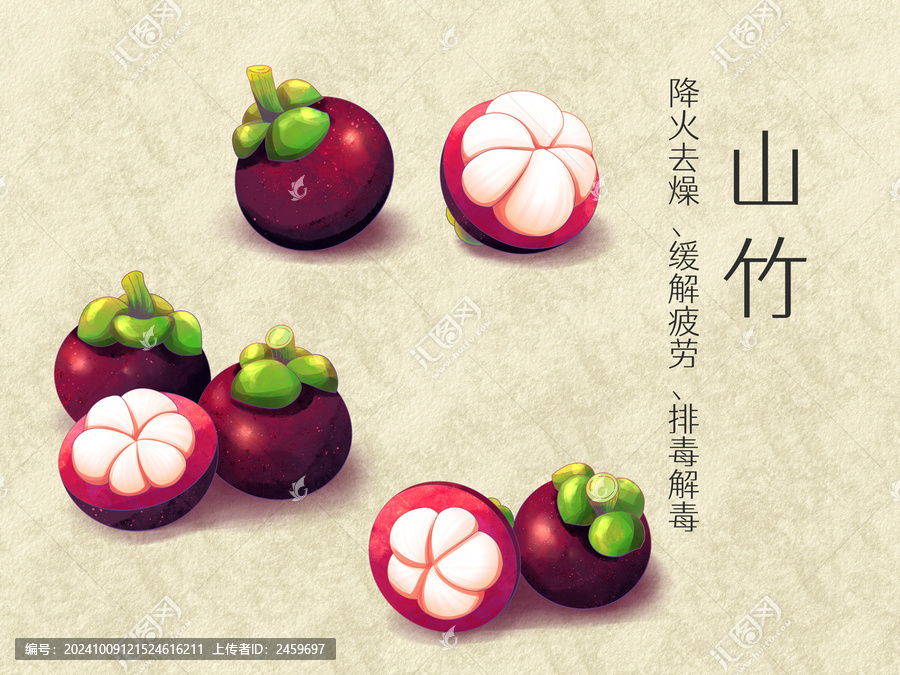 手繪水彩水果山竹插畫(huà)