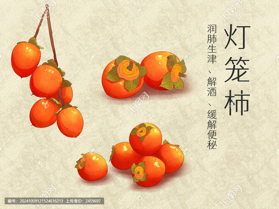 手繪水彩水果柿子燈籠柿插畫(huà)