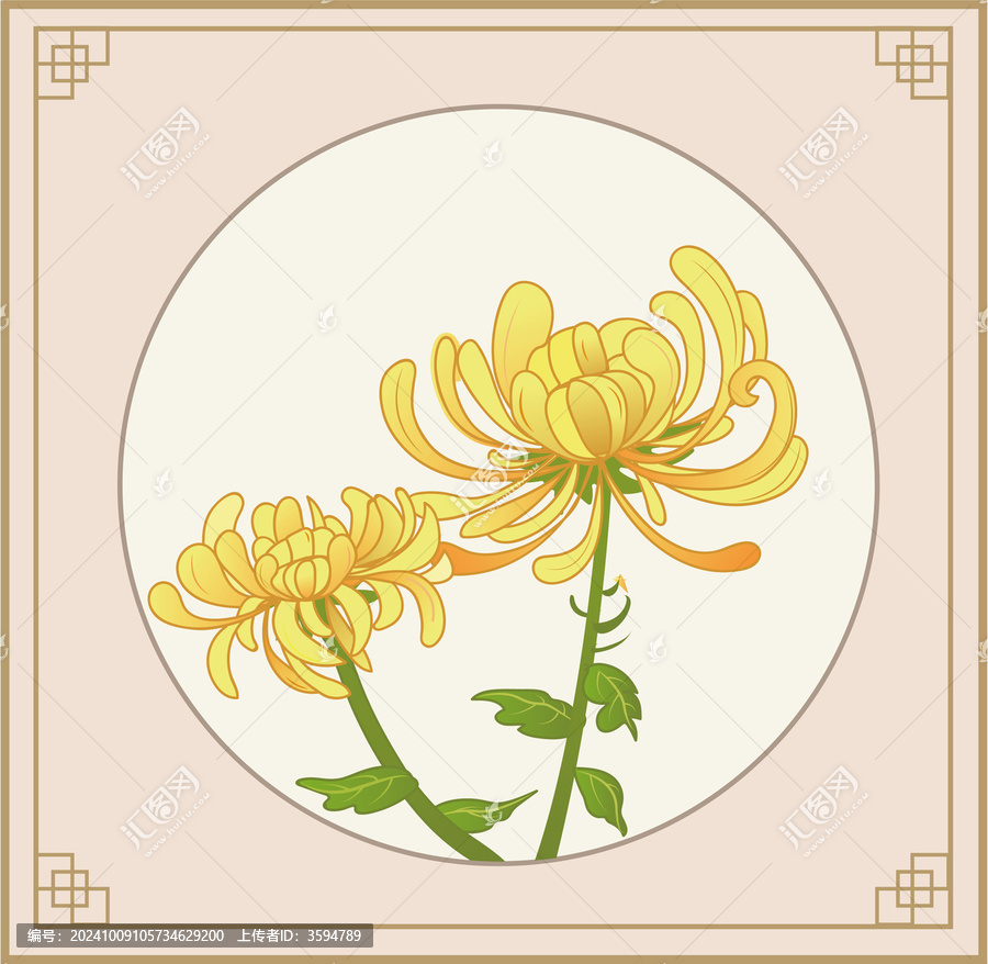 國風花卉菊花