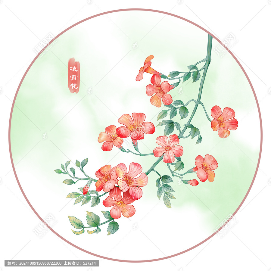 凌霄花