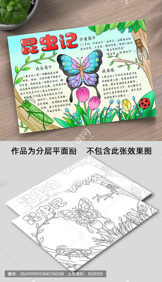 昆蟲記手抄報線稿