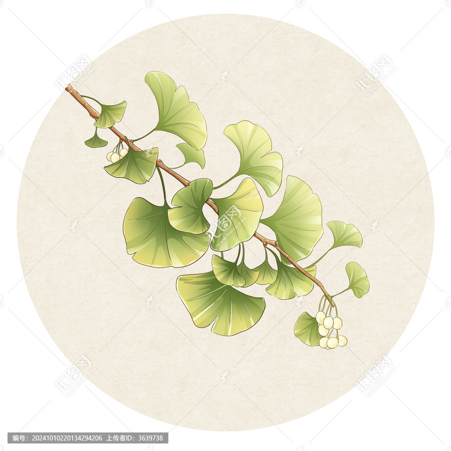 銀杏國(guó)風(fēng)插畫