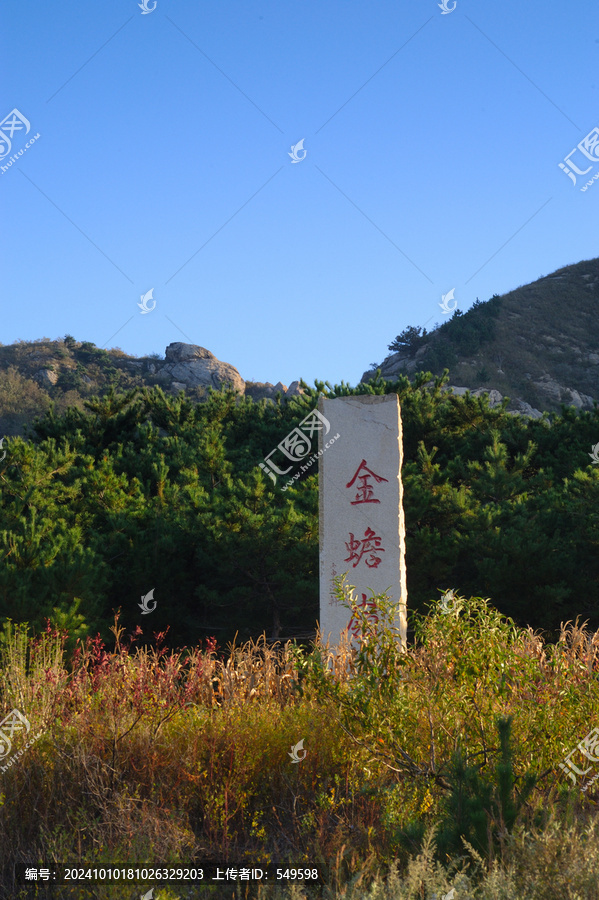 萊州金蟾嶺