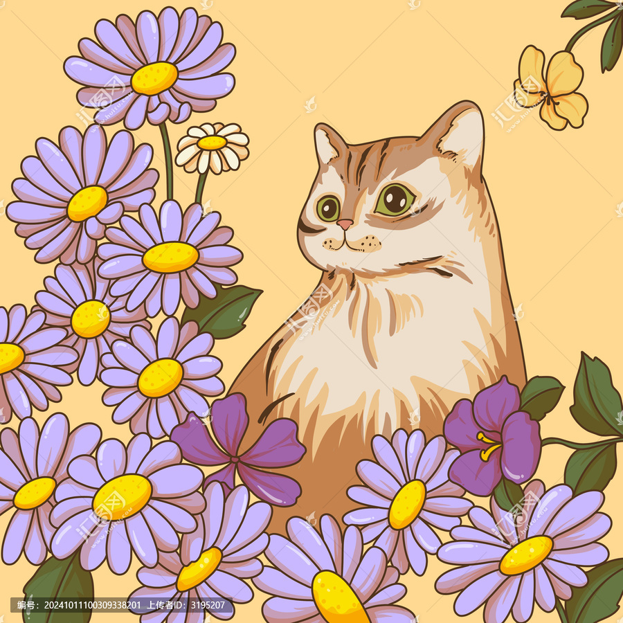 雛菊中的可愛貓咪