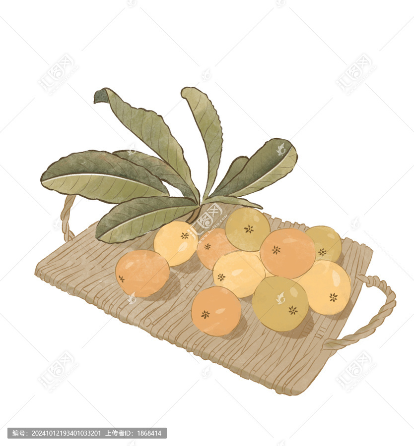 枇杷水彩插畫