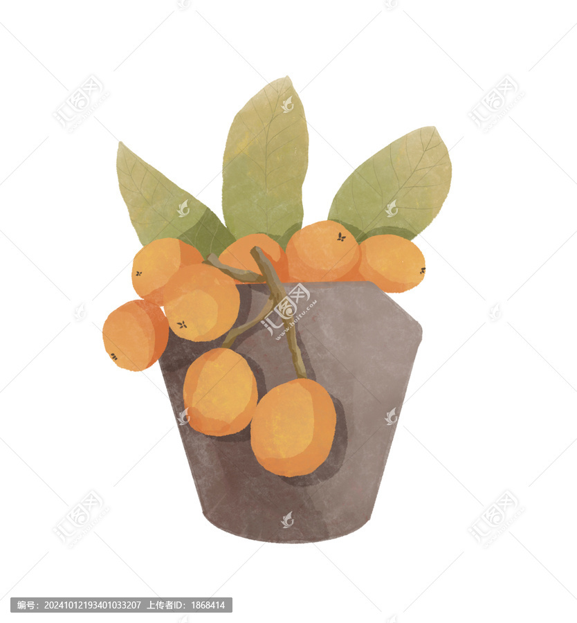 枇杷水彩插畫