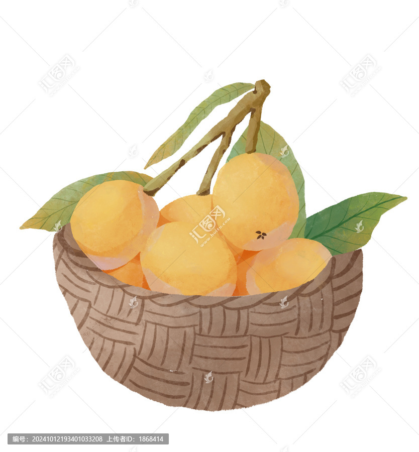 枇杷水彩插畫(huà)