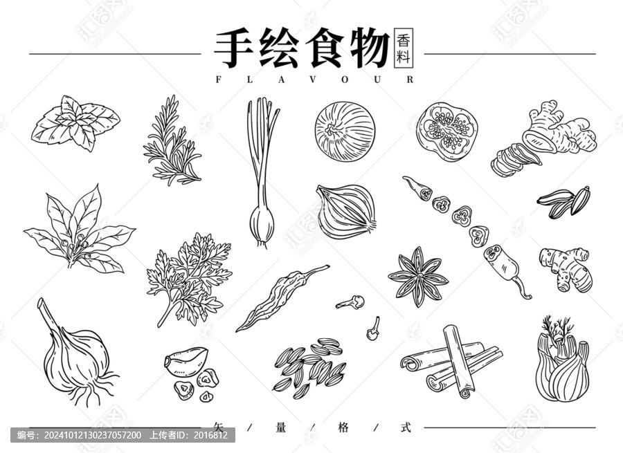 手繪香料線稿
