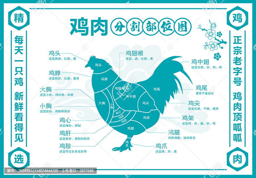 雞肉分割圖