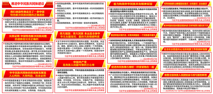 推進中華民族共同體建設(shè)
