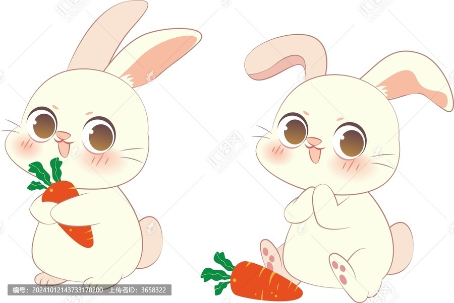 小白兔