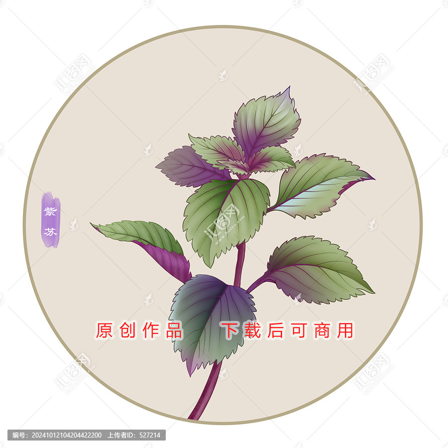 紫蘇