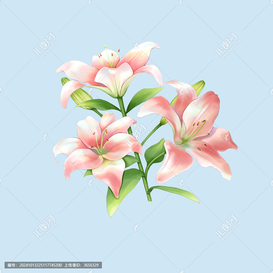 百合